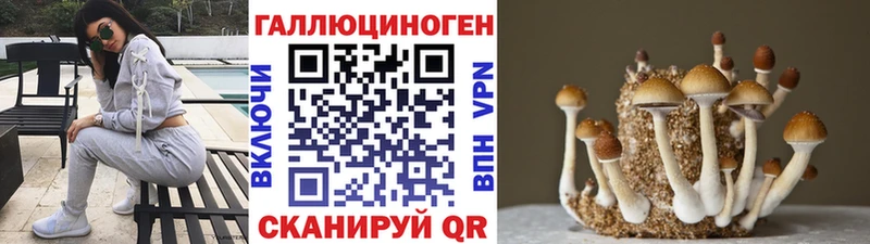 Галлюциногенные грибы прущие грибы  Купить где  Луга 